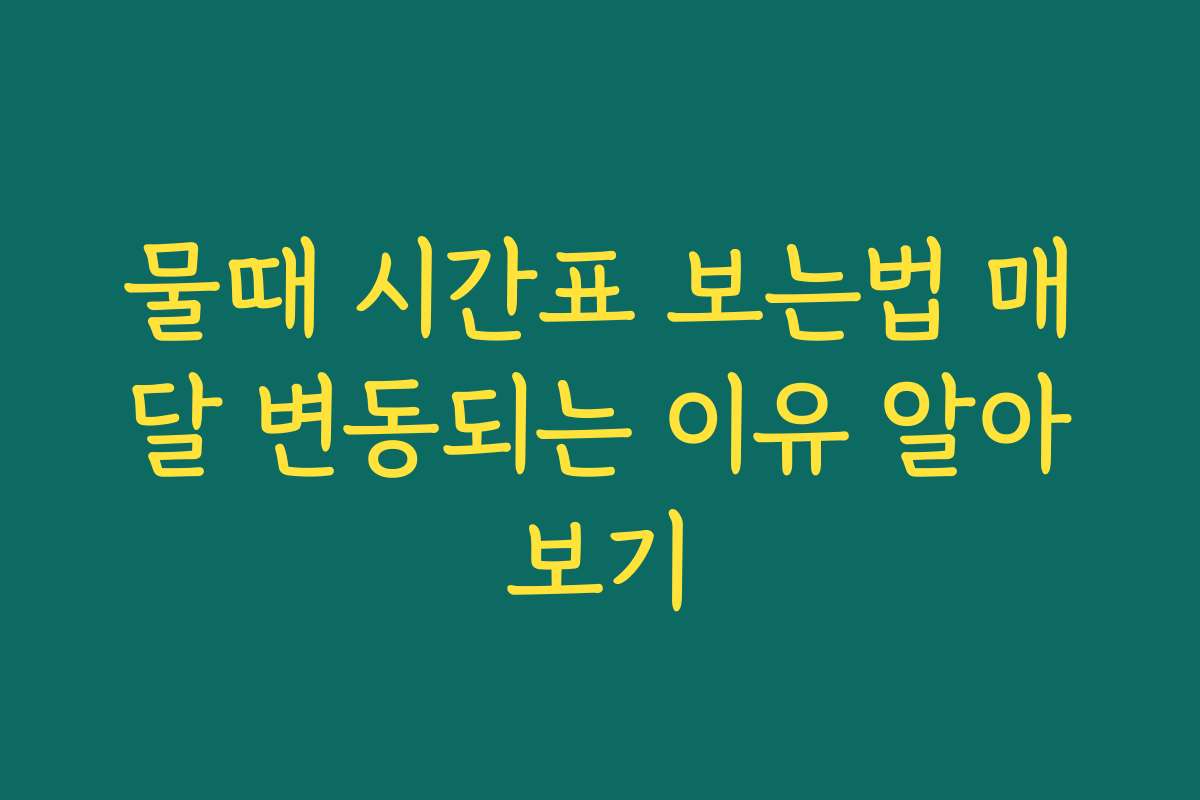 물때 시간표 보는법 매달 변동되는 이유 알아보기