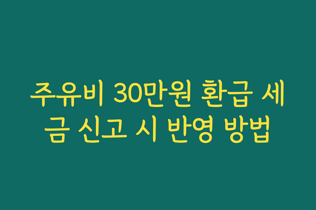 주유비 30만원 환급 세금 신고 시 반영 방법