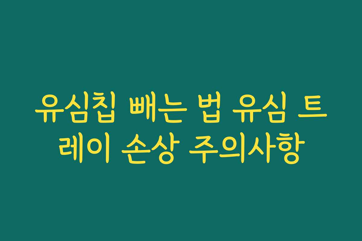 유심칩 빼는 법 유심 트레이 손상 주의사항