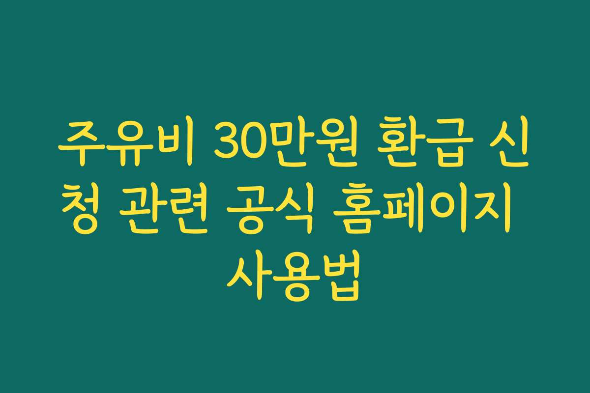 주유비 30만원 환급 신청 관련 공식 홈페이지 사용법