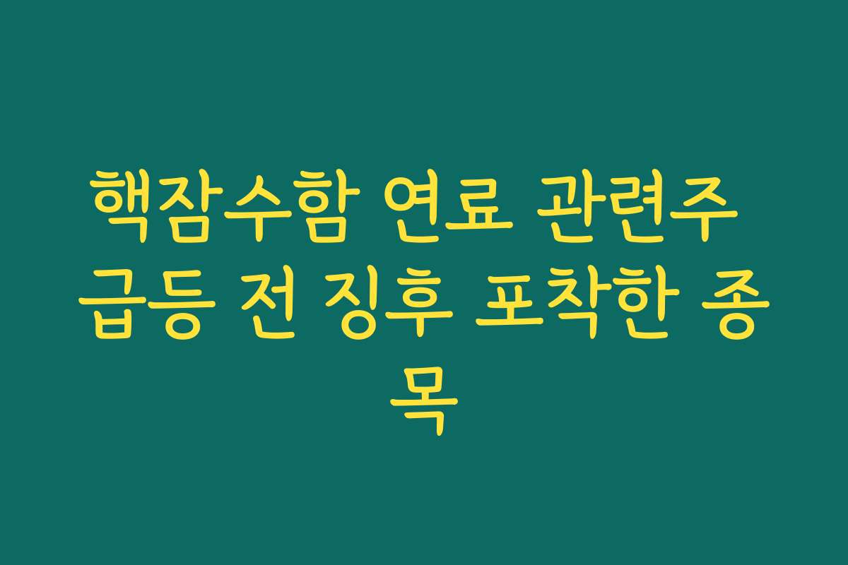 핵잠수함 연료 관련주 급등 전 징후 포착한 종목