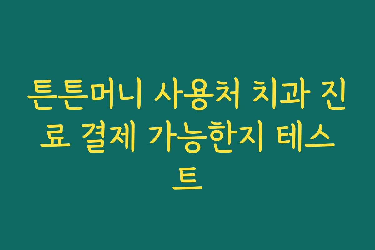 튼튼머니 사용처 치과 진료 결제 가능한지 테스트