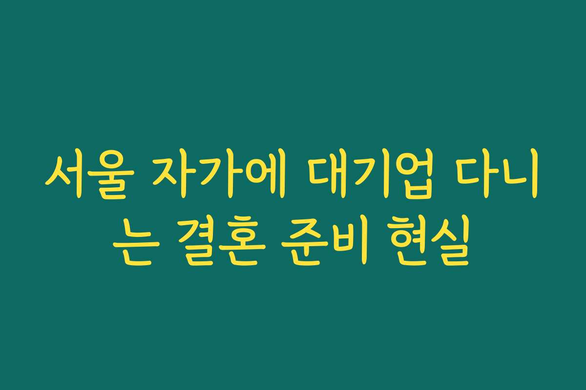 서울 자가에 대기업 다니는 결혼 준비 현실