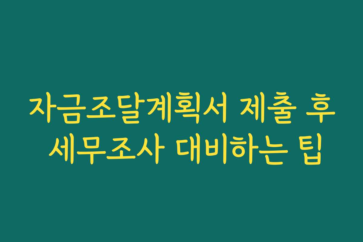 자금조달계획서 제출 후 세무조사 대비하는 팁