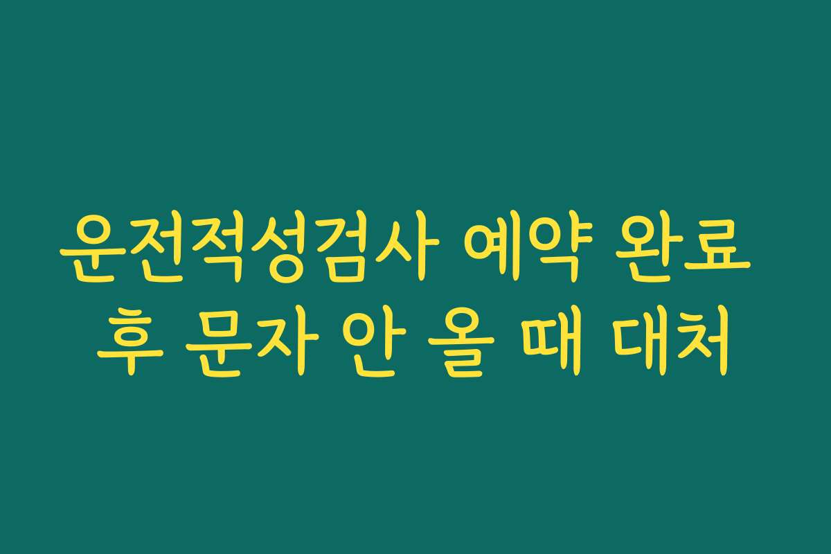 운전적성검사 예약 완료 후 문자 안 올 때 대처