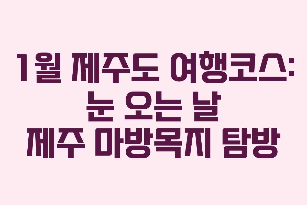 1월 제주도 여행코스: 눈 오는 날 제주 마방목지 탐방