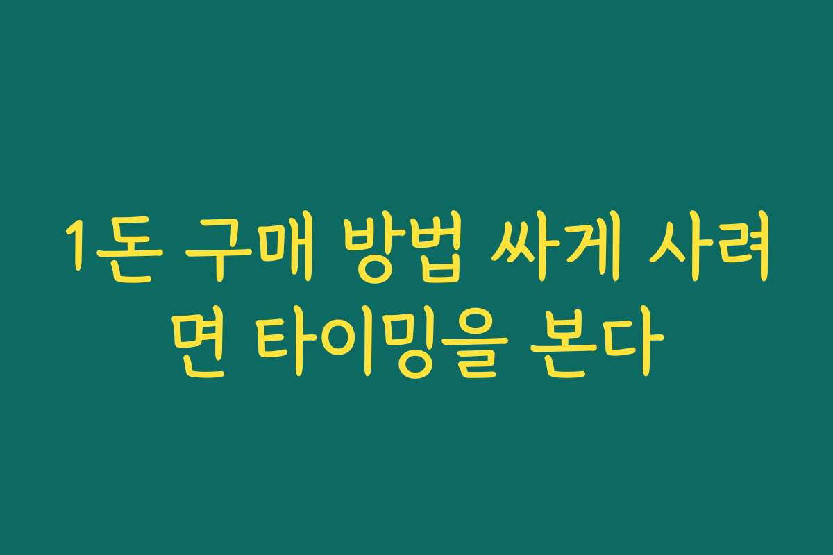 1돈 구매 방법 싸게 사려면 타이밍을 본다