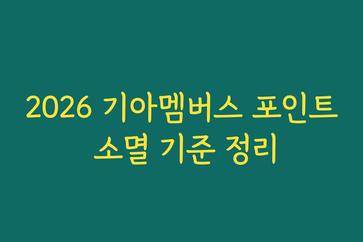 2026 기아멤버스 포인트 소멸 기준 정리