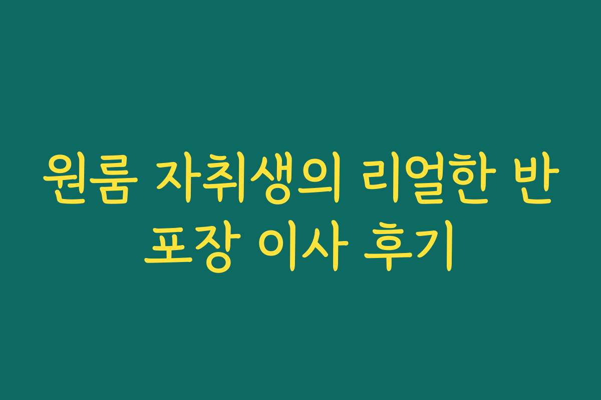 원룸 자취생의 리얼한 반포장 이사 후기