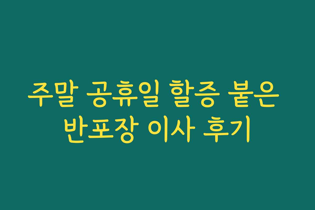 주말 공휴일 할증 붙은 반포장 이사 후기