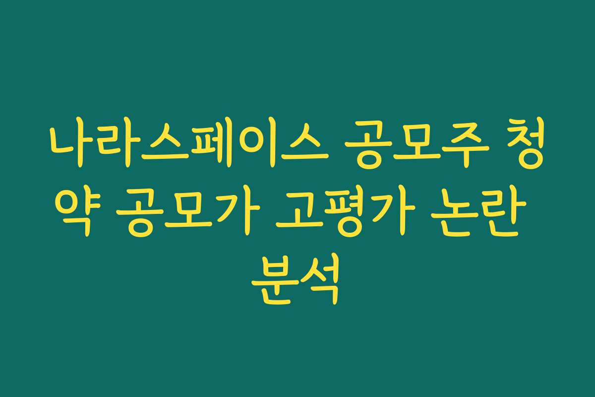 나라스페이스 공모주 청약 공모가 고평가 논란 분석