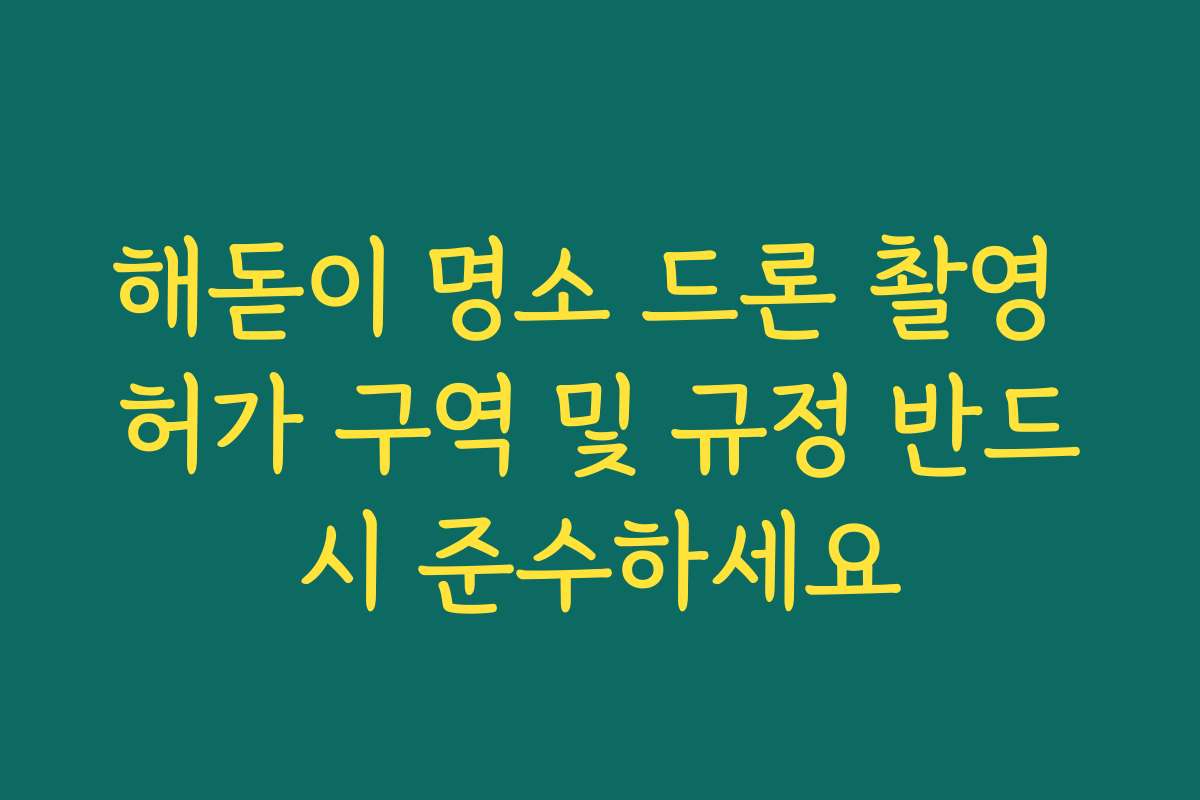 해돋이 명소 드론 촬영 허가 구역 및 규정 반드시 준수하세요
