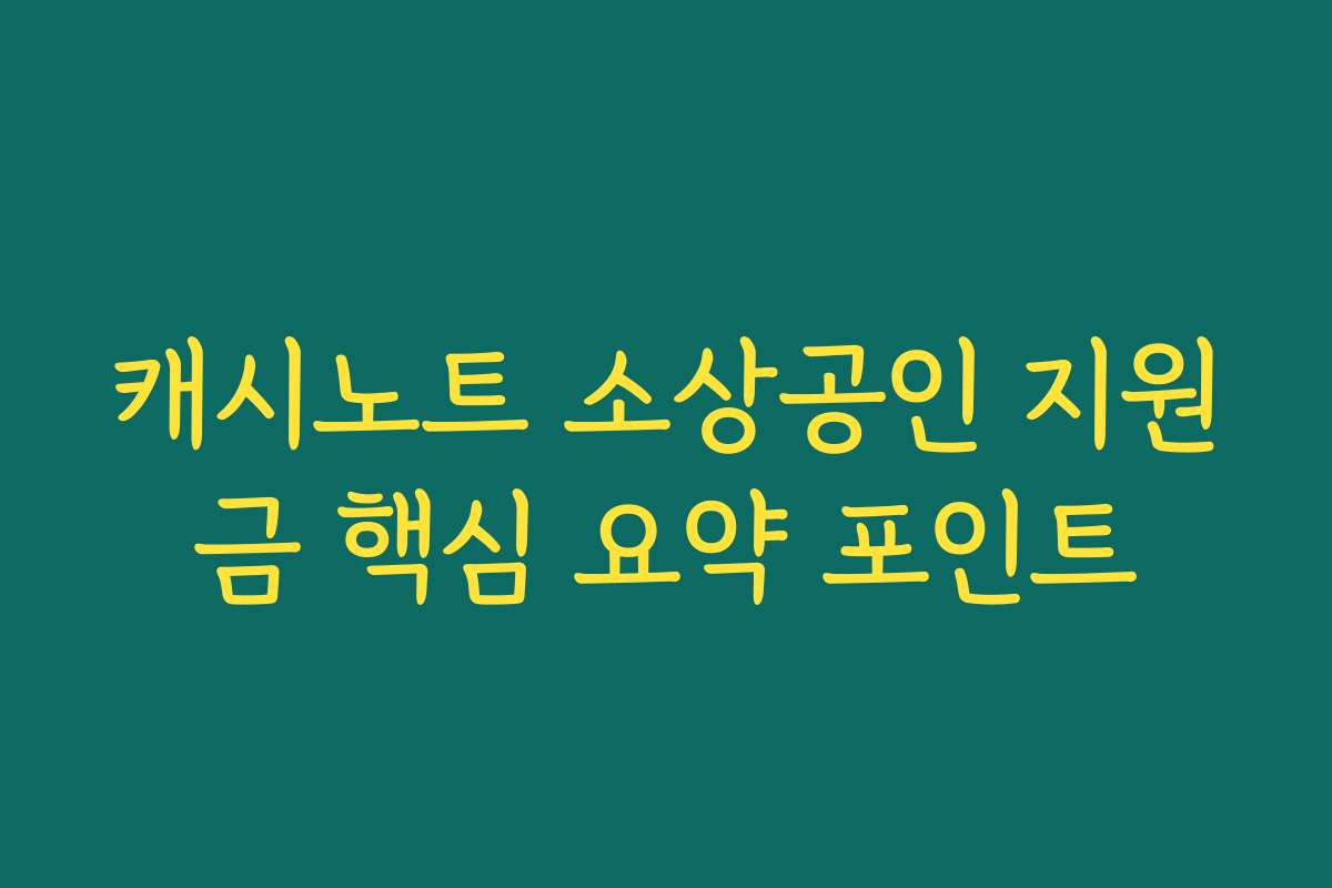 캐시노트 소상공인 지원금 핵심 요약 포인트