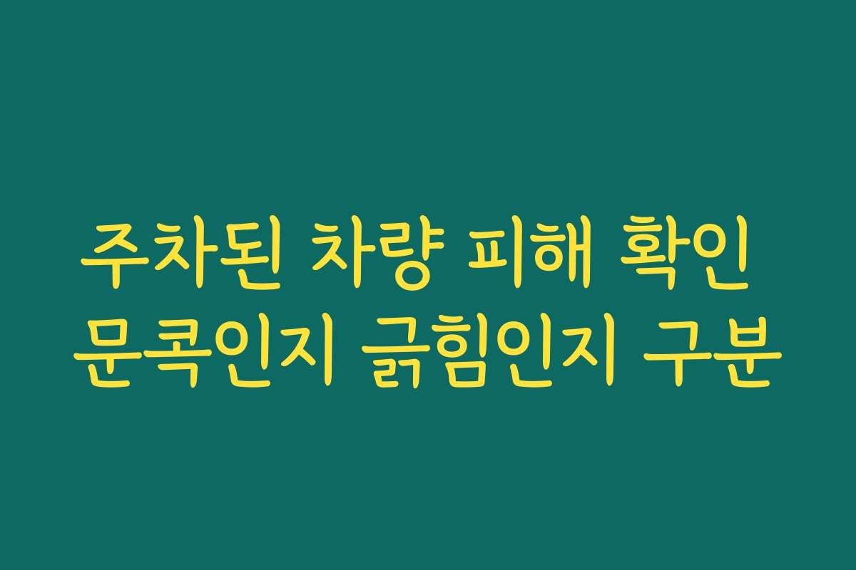 주차된 차량 피해 확인 문콕인지 긁힘인지 구분