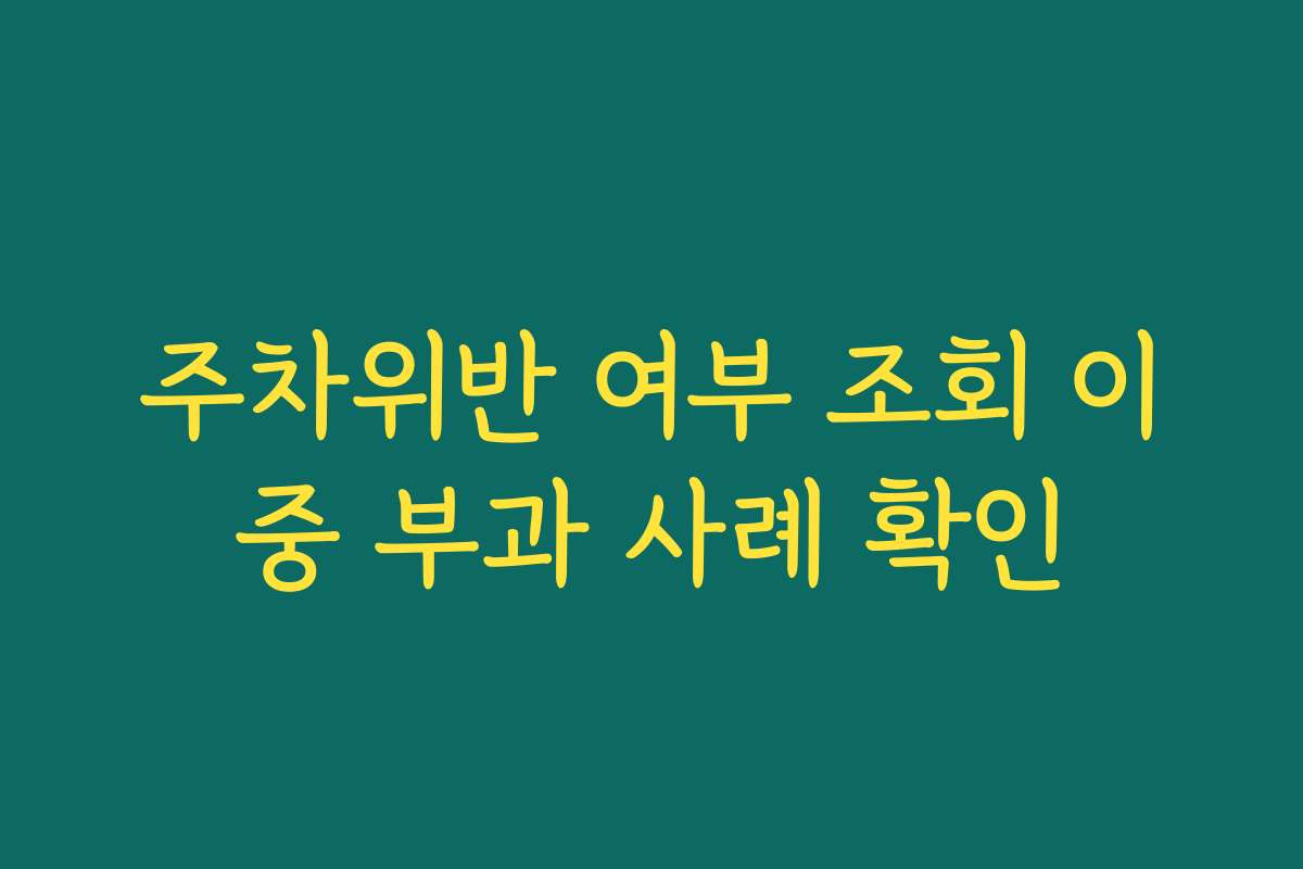 주차위반 여부 조회 이중 부과 사례 확인