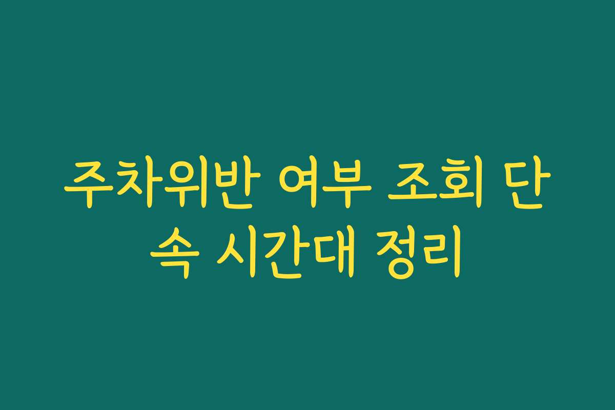 주차위반 여부 조회 단속 시간대 정리