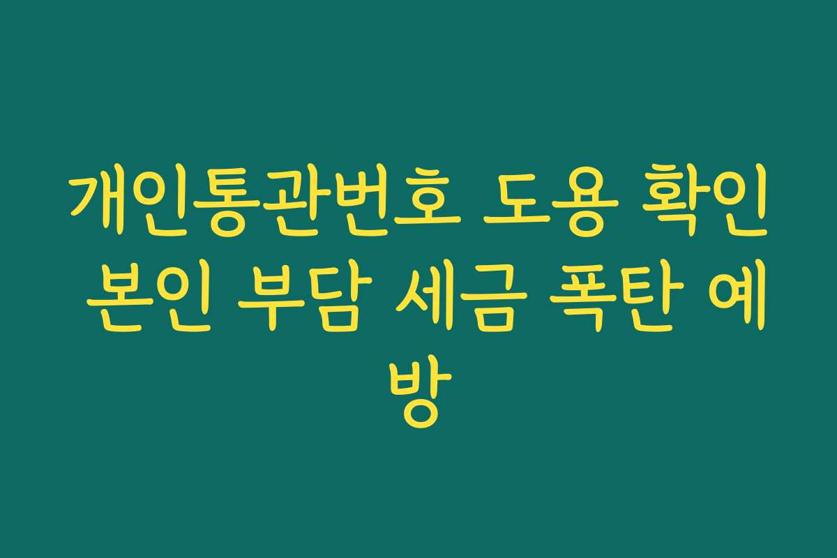개인통관번호 도용 확인 본인 부담 세금 폭탄 예방