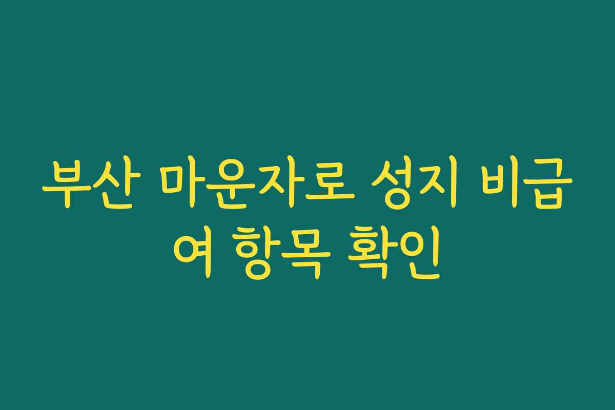 부산 마운자로 성지 비급여 항목 확인