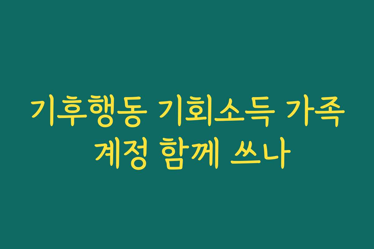 기후행동 기회소득 가족 계정 함께 쓰나