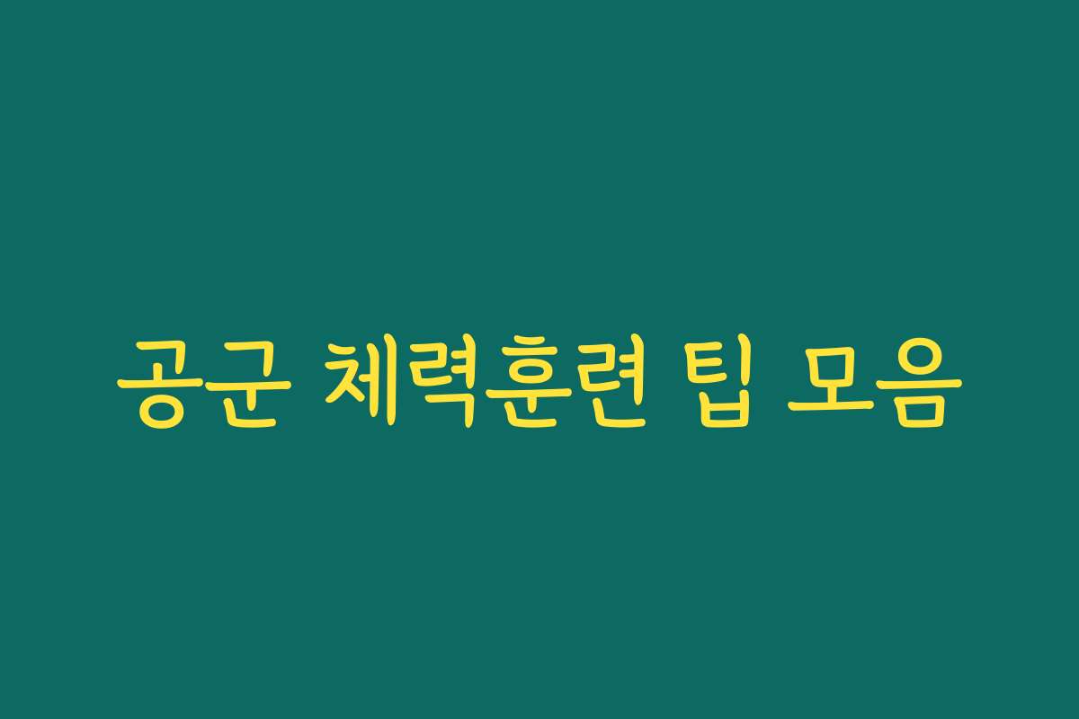 공군 체력훈련 팁 모음