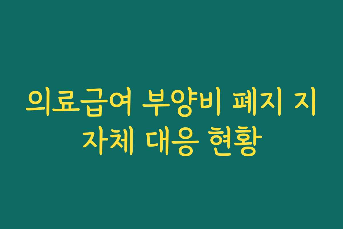의료급여 부양비 폐지 지자체 대응 현황