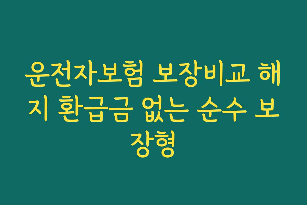 운전자보험 보장비교 해지 환급금 없는 순수 보장형