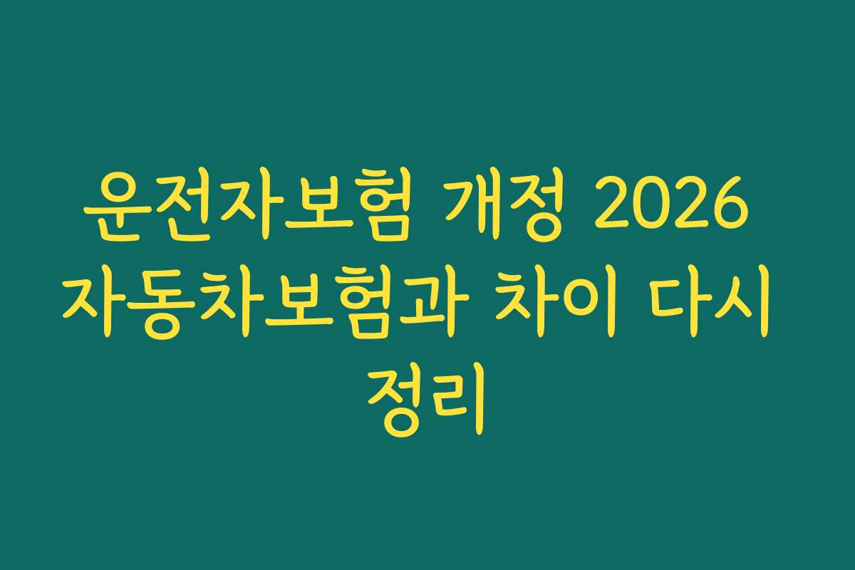 운전자보험 개정 2026 자동차보험과 차이 다시 정리