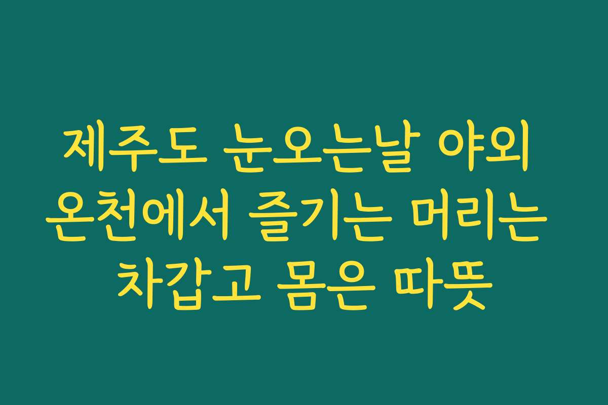 제주도 눈오는날 야외 온천에서 즐기는 머리는 차갑고 몸은 따뜻