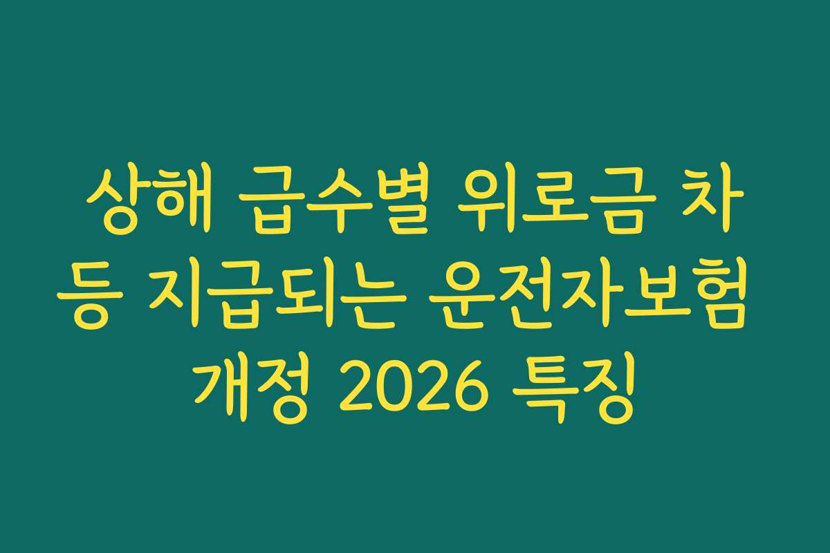 상해 급수별 위로금 차등 지급되는 운전자보험 개정 2026 특징