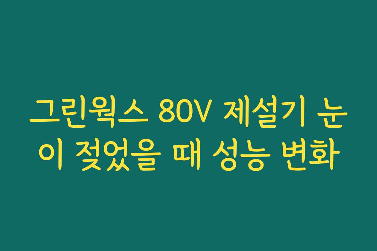 그린웍스 80V 제설기 눈이 젖었을 때 성능 변화