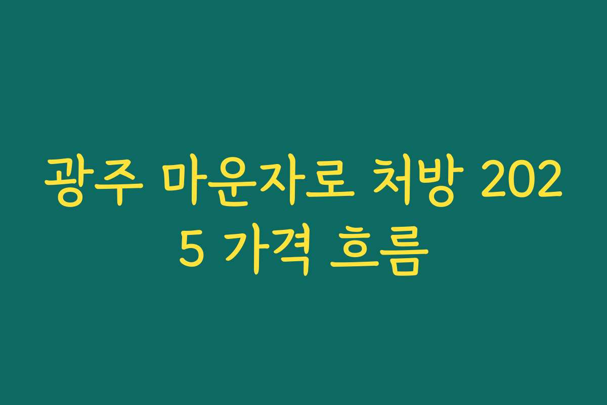 광주 마운자로 처방 2025 가격 흐름