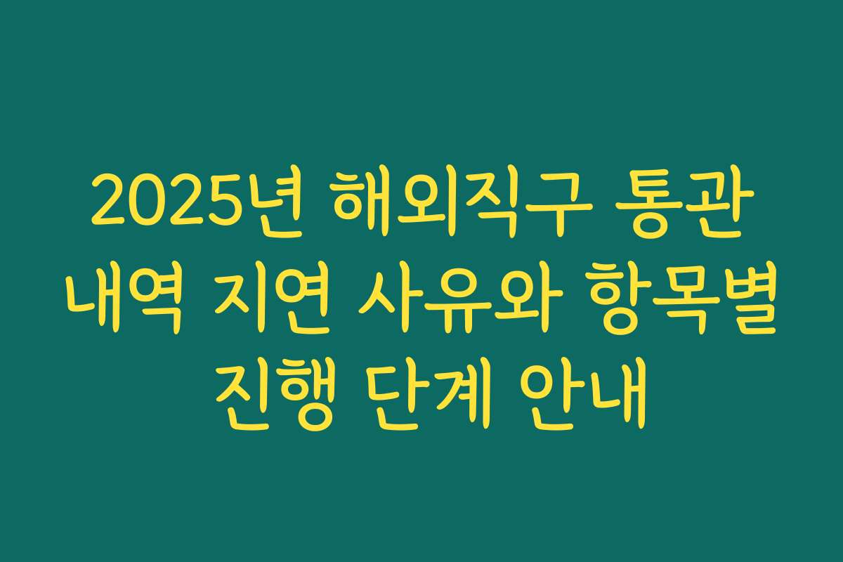 2025년 해외직구 통관내역 지연 사유와 항목별 진행 단계 안내