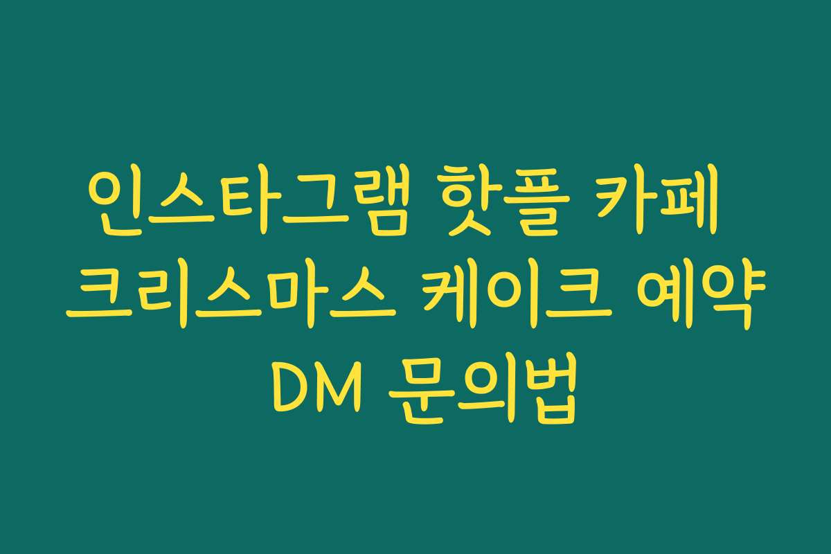 인스타그램 핫플 카페 크리스마스 케이크 예약 DM 문의법