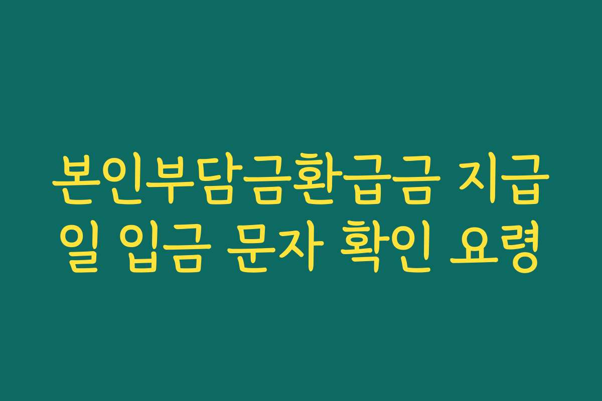 본인부담금환급금 지급일 입금 문자 확인 요령