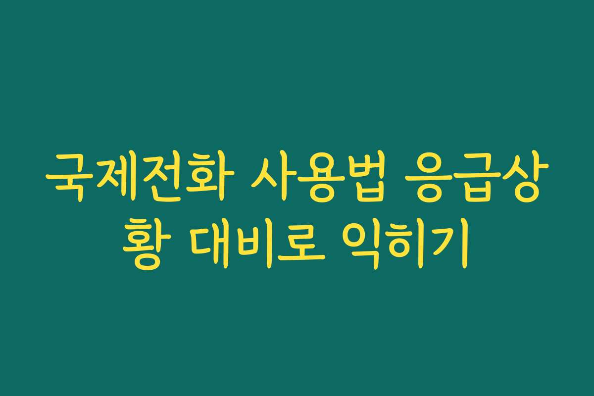 국제전화 사용법 응급상황 대비로 익히기