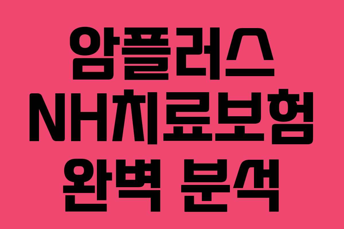 암플러스 NH치료보험 완벽 분석