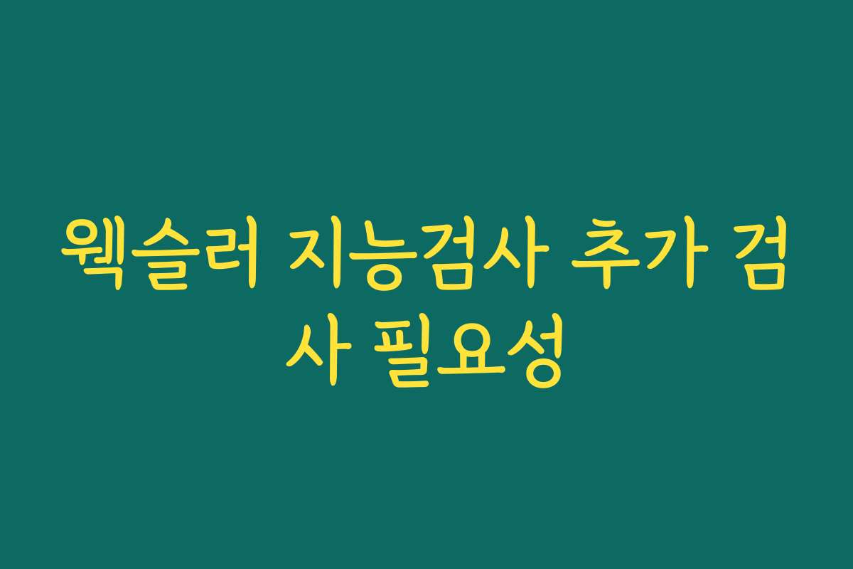 웩슬러 지능검사 추가 검사 필요성
