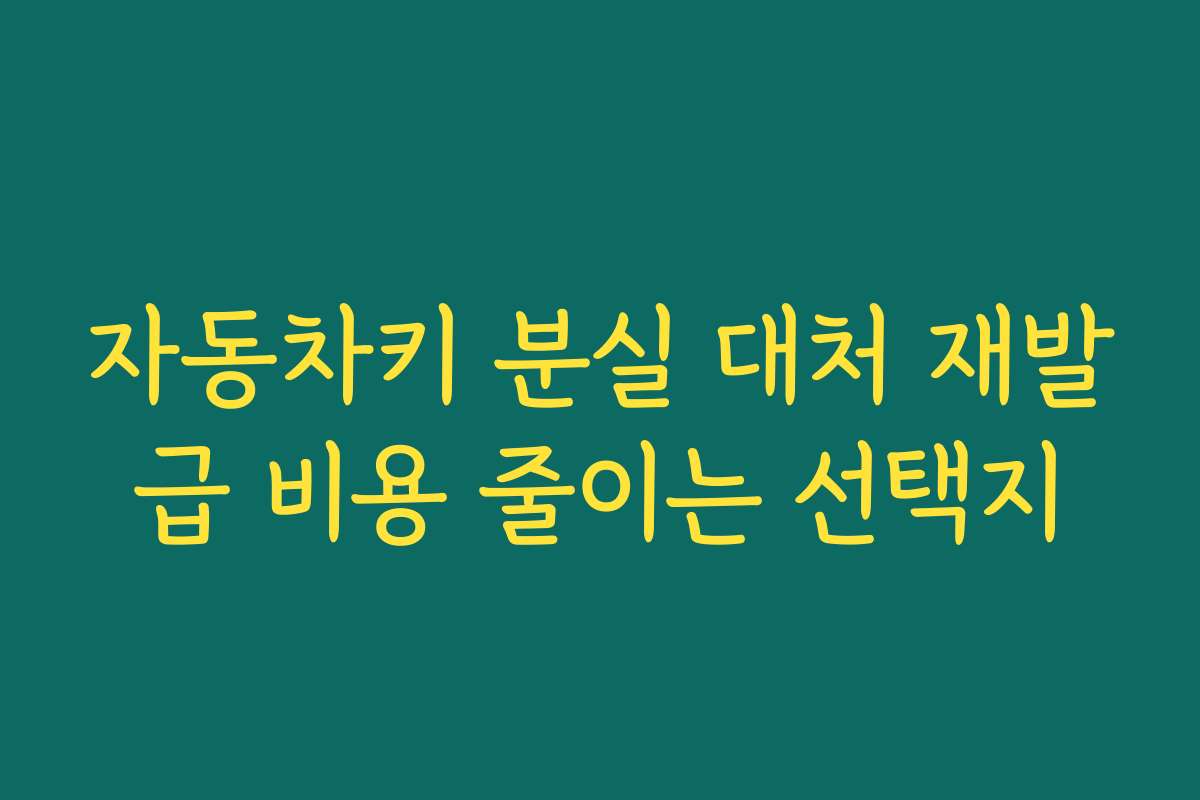자동차키 분실 대처 재발급 비용 줄이는 선택지