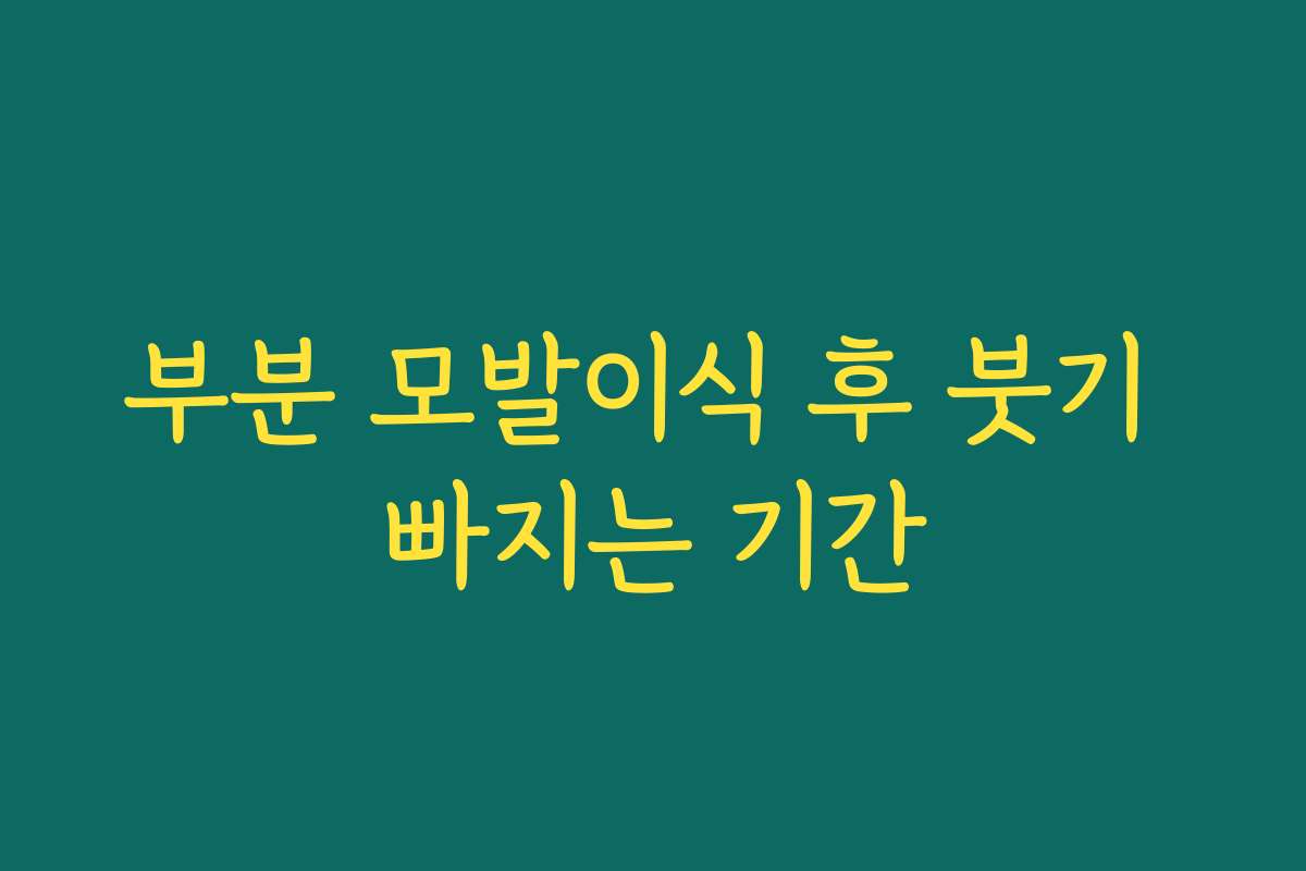 부분 모발이식 후 붓기 빠지는 기간