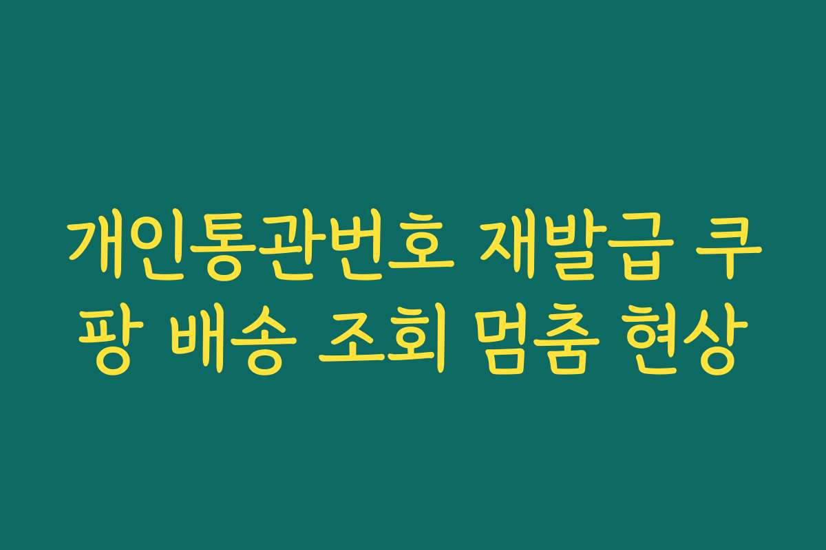 개인통관번호 재발급 쿠팡 배송 조회 멈춤 현상