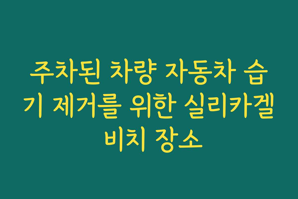 주차된 차량 자동차 습기 제거를 위한 실리카겔 비치 장소