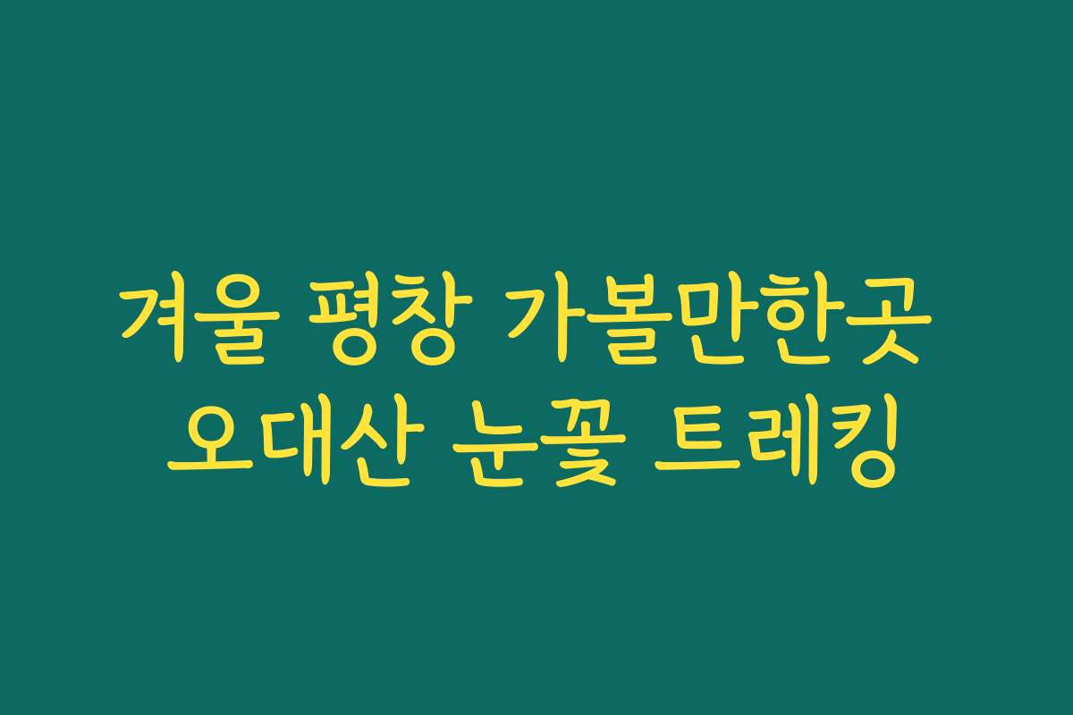 겨울 평창 가볼만한곳 오대산 눈꽃 트레킹