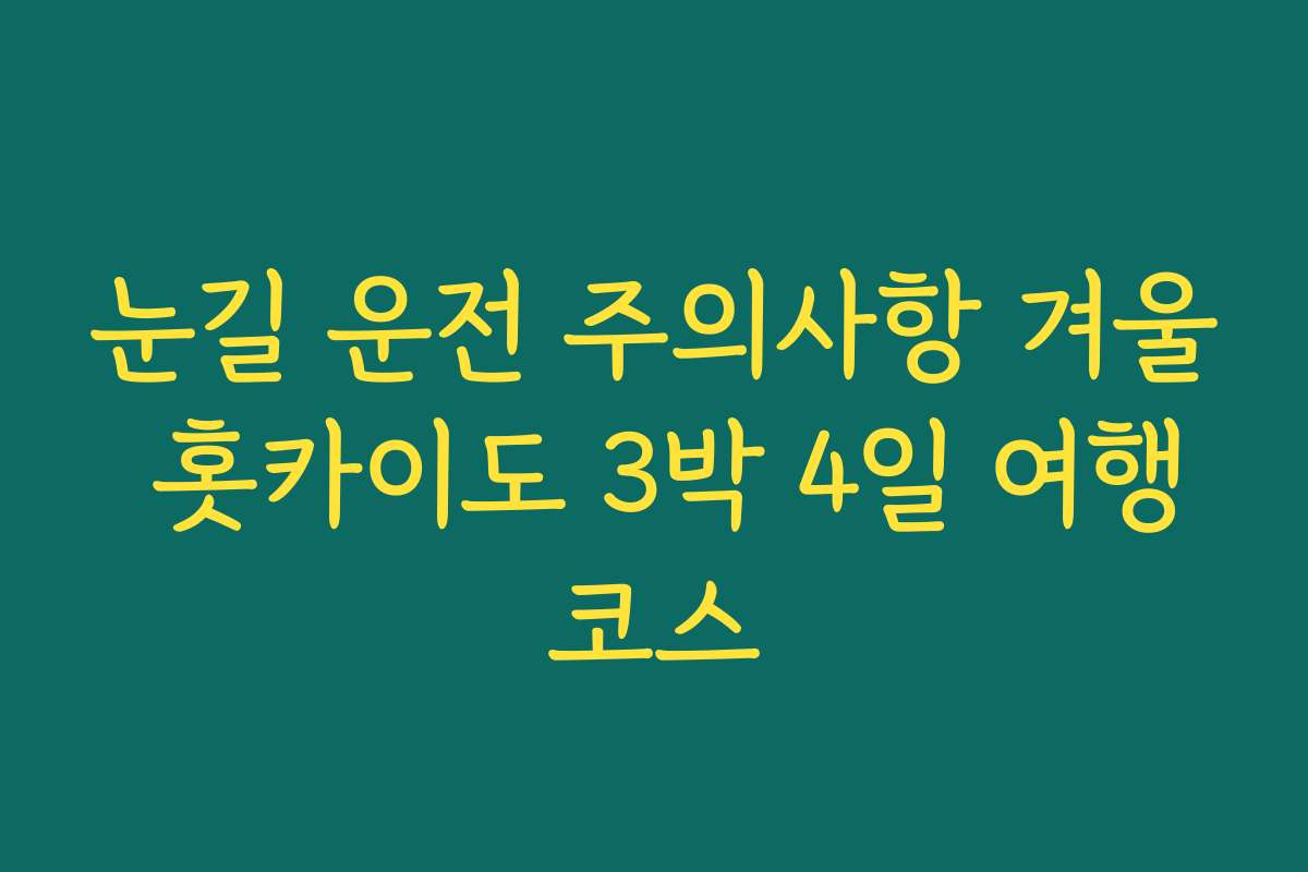 눈길 운전 주의사항 겨울 홋카이도 3박 4일 여행코스