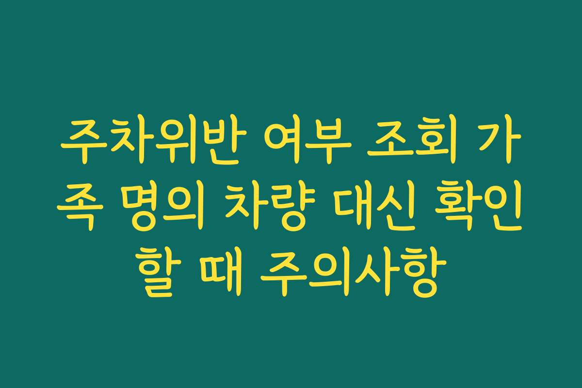 주차위반 여부 조회 가족 명의 차량 대신 확인할 때 주의사항