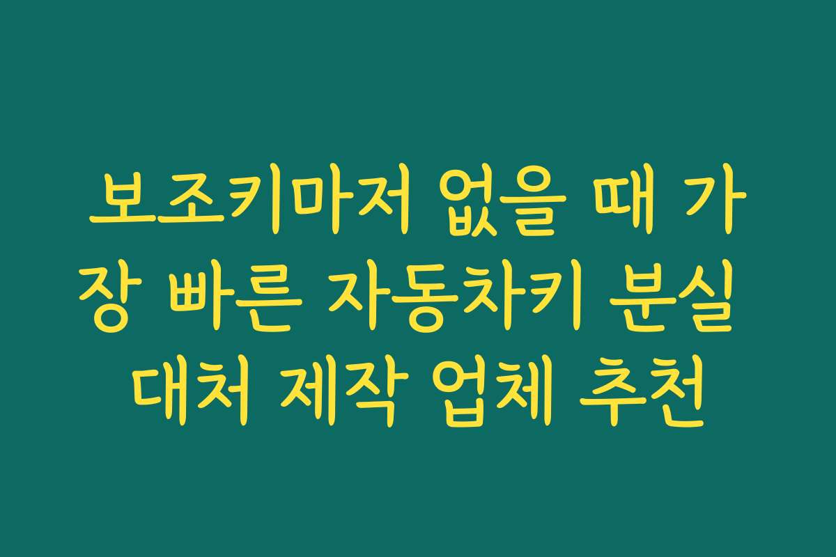 보조키마저 없을 때 가장 빠른 자동차키 분실 대처 제작 업체 추천