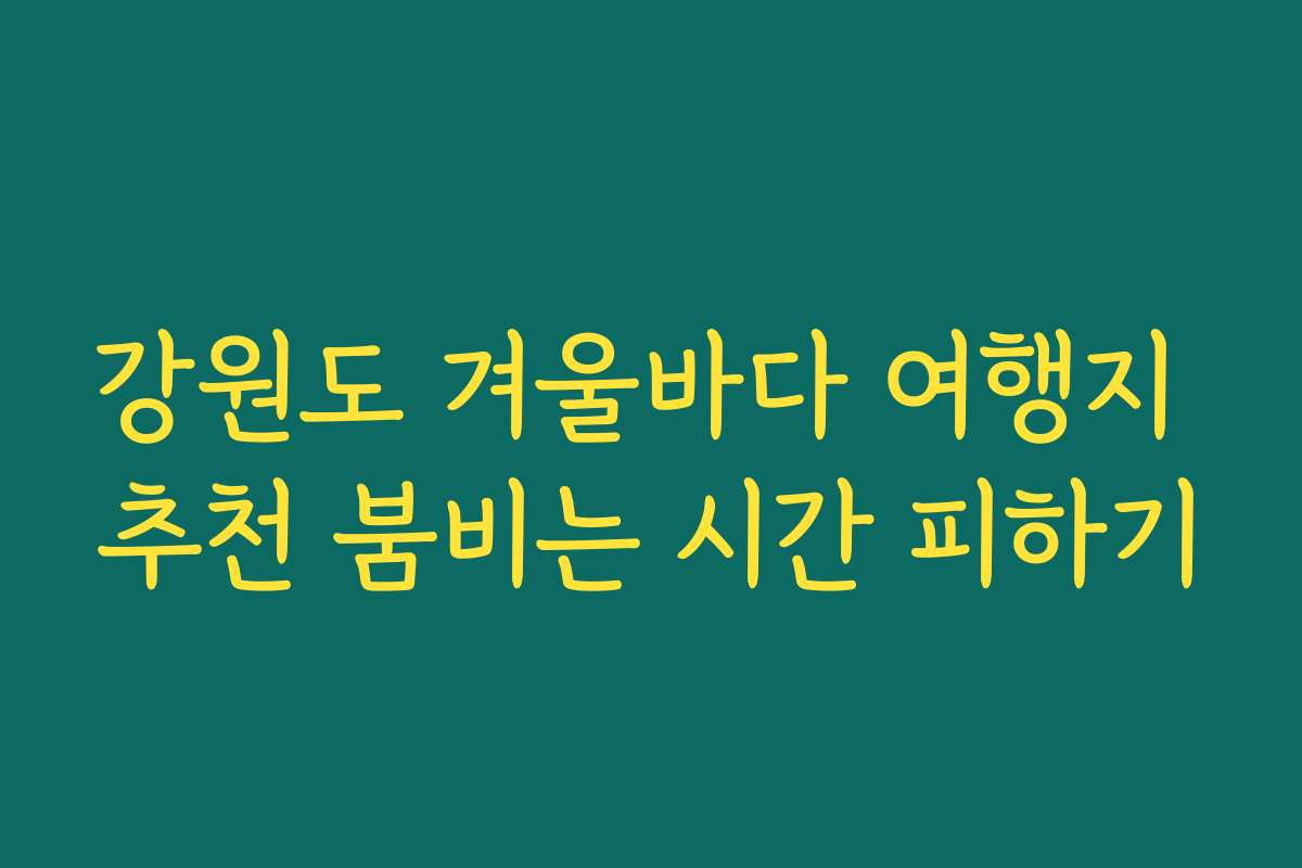 강원도 겨울바다 여행지 추천 붐비는 시간 피하기