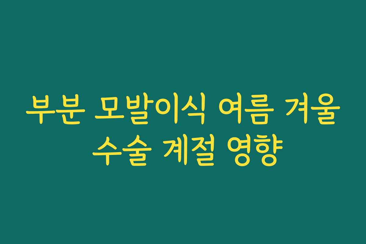 부분 모발이식 여름 겨울 수술 계절 영향