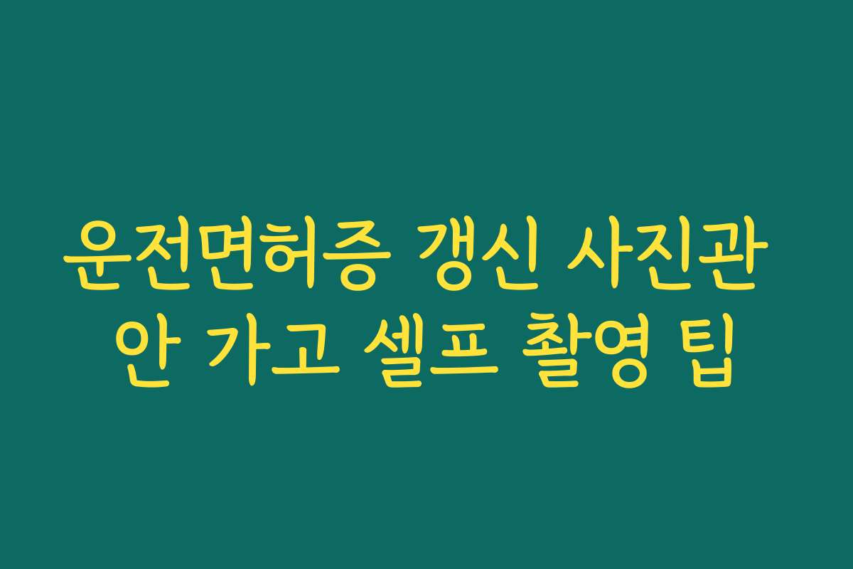 운전면허증 갱신 사진관 안 가고 셀프 촬영 팁