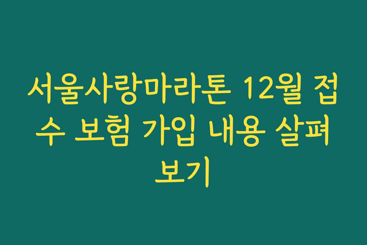 서울사랑마라톤 12월 접수 보험 가입 내용 살펴보기