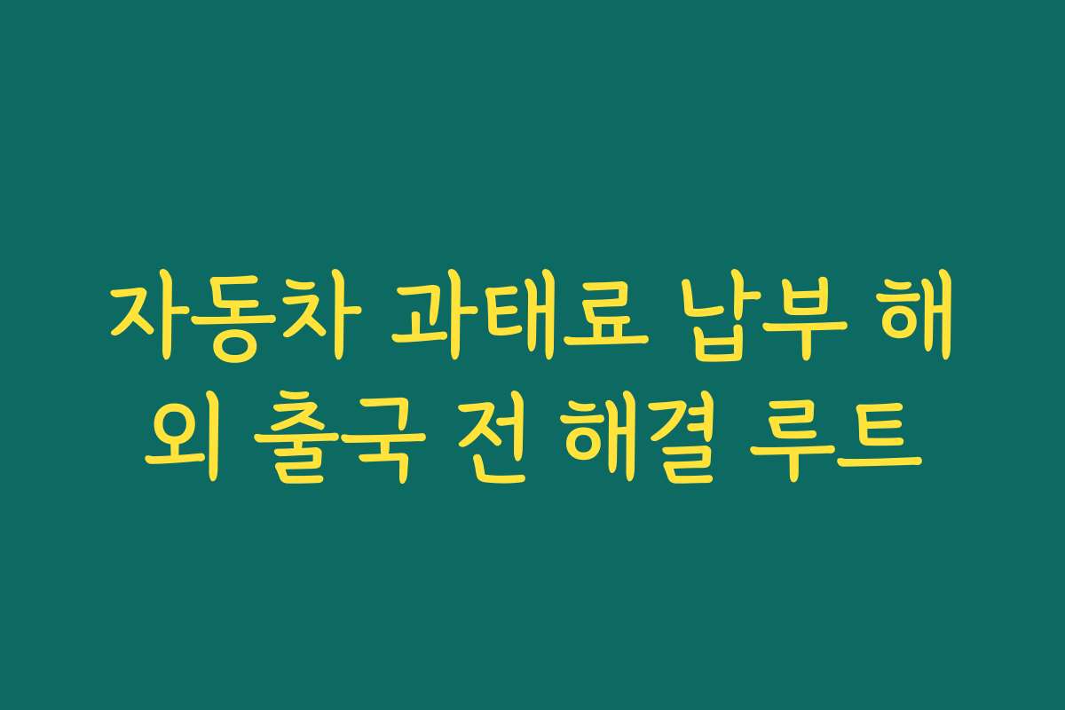 자동차 과태료 납부 해외 출국 전 해결 루트